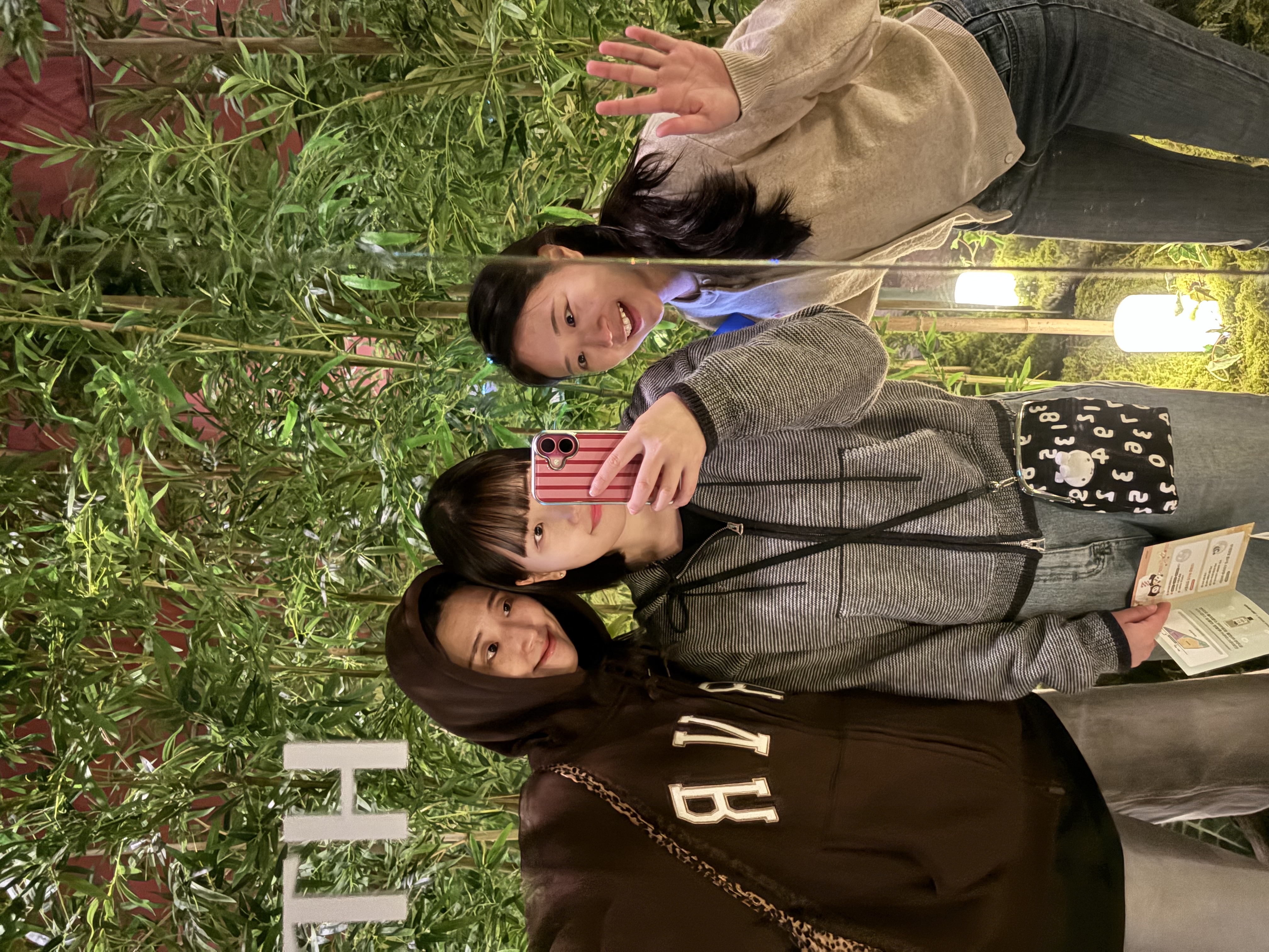 용인 에버랜드